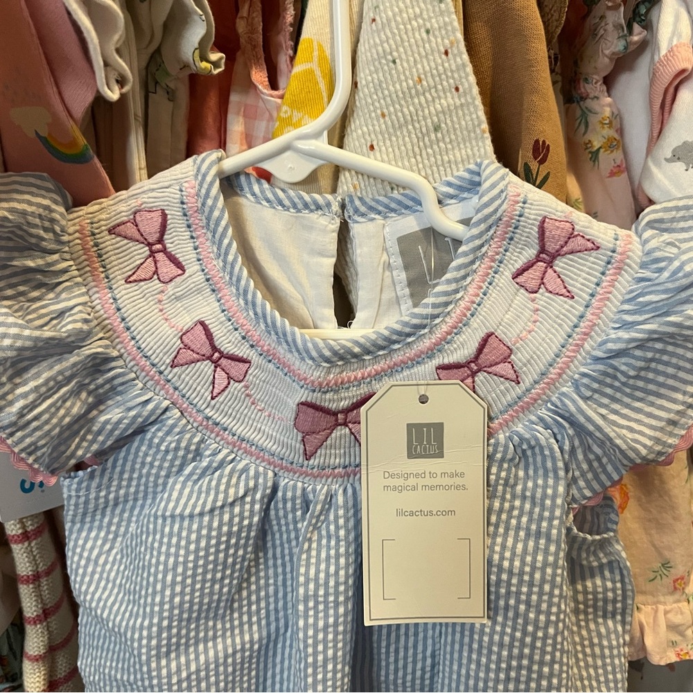Lil Cactus Ribbons Blue and Pink Smocked Bubble